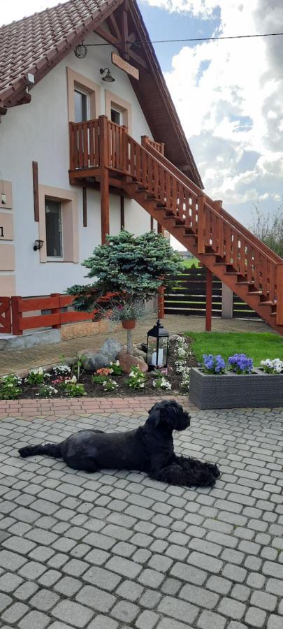 Liwa Garden Krzywa 11 Διαμέρισμα Εξωτερικό φωτογραφία