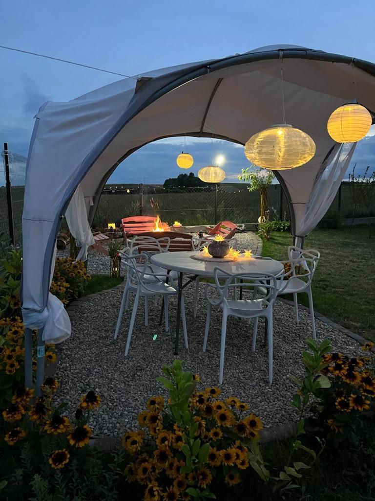 Liwa Garden Krzywa 11 Διαμέρισμα Εξωτερικό φωτογραφία