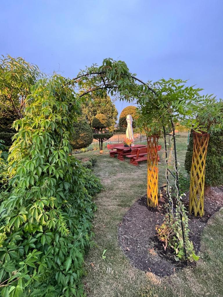 Liwa Garden Krzywa 11 Διαμέρισμα Εξωτερικό φωτογραφία