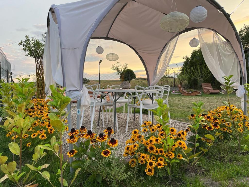 Liwa Garden Krzywa 11 Διαμέρισμα Εξωτερικό φωτογραφία